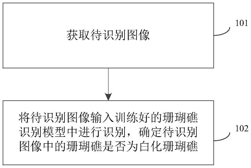 一种珊瑚礁白化自动识别方法及系统