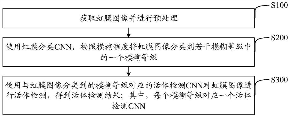 虹膜静默活体检测方法、装置、可读存储介质及设备