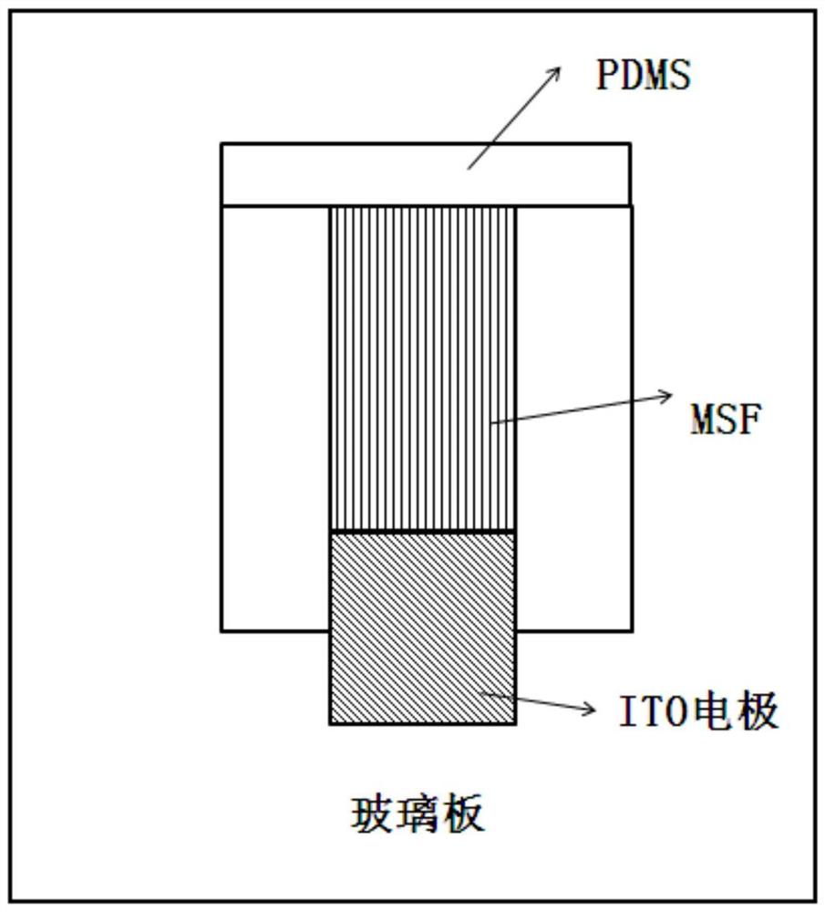 一种通过膜电化学传感器直接检测食品中重金属的方法