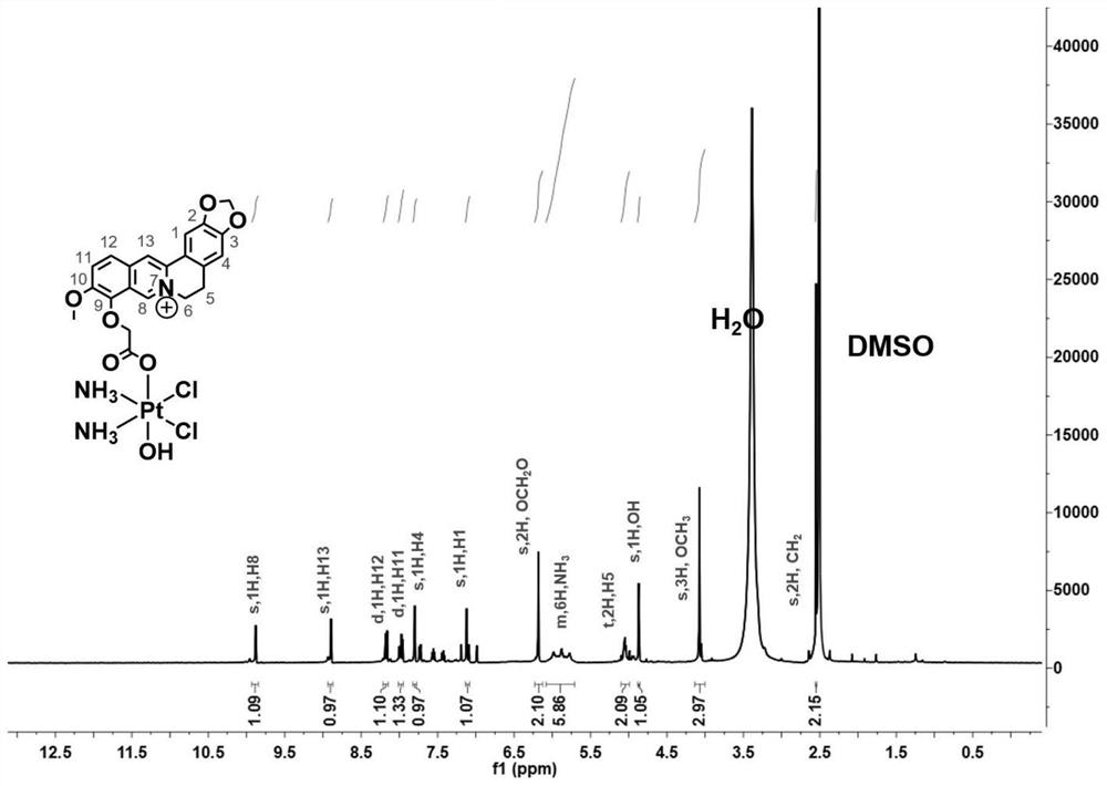 一种黄连素偶联顺铂化合物及其制备方法和应用