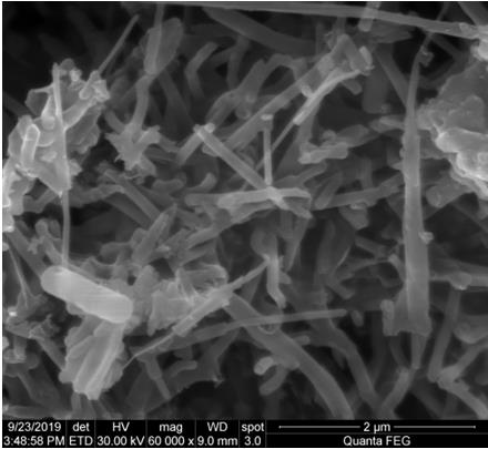 一种碳修饰硅/二氧化硅包覆碳纳米管的制备方法
