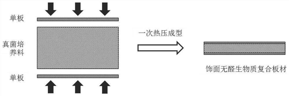 一种一次成型饰面无醛生物质复合板材及其制备方法