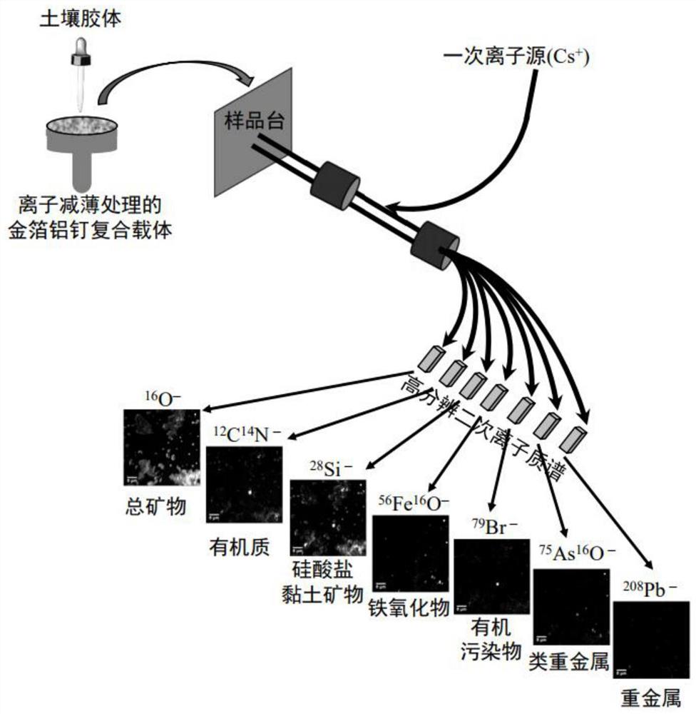 一种土壤胶体中复合污染物的可视化检测方法及其应用