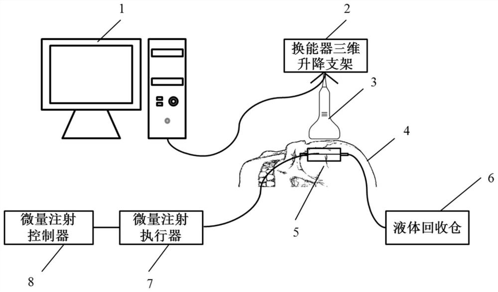 一种经颅超声估计血管血流速度场的装置及方法