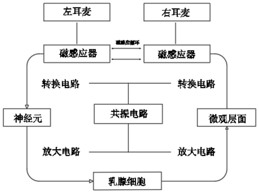 基于整体关联医学逻辑的乳腺癌癌细胞术后监测仪及使用方法