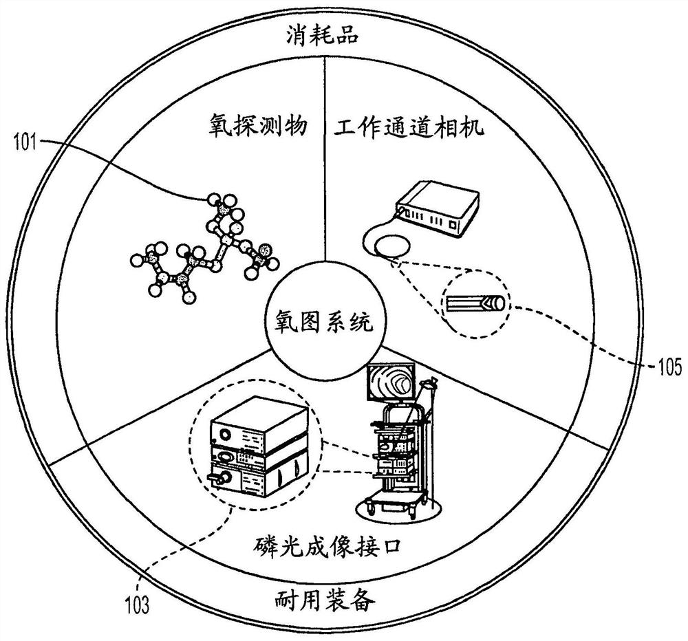 用于解析和绘制生理状况的成像系统