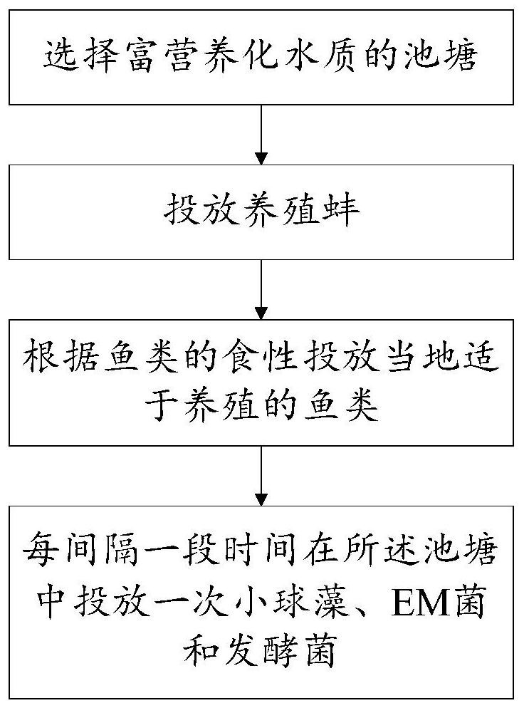 一种利用富营养化水质养殖河蚌的方法和装置