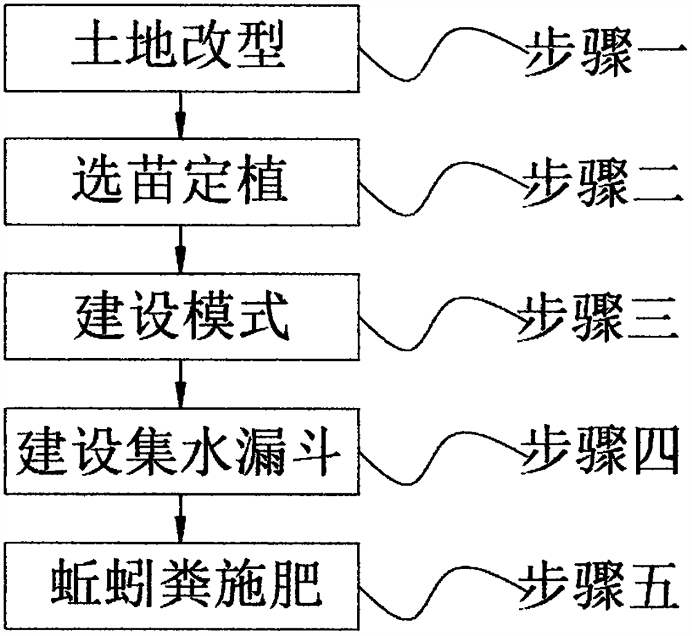 一种石漠化区核桃根围生态环境改良方法