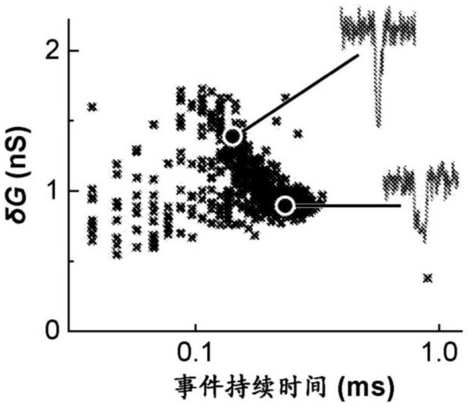 用于使用纳米孔装置检测分子的感测组合物、方法和装置