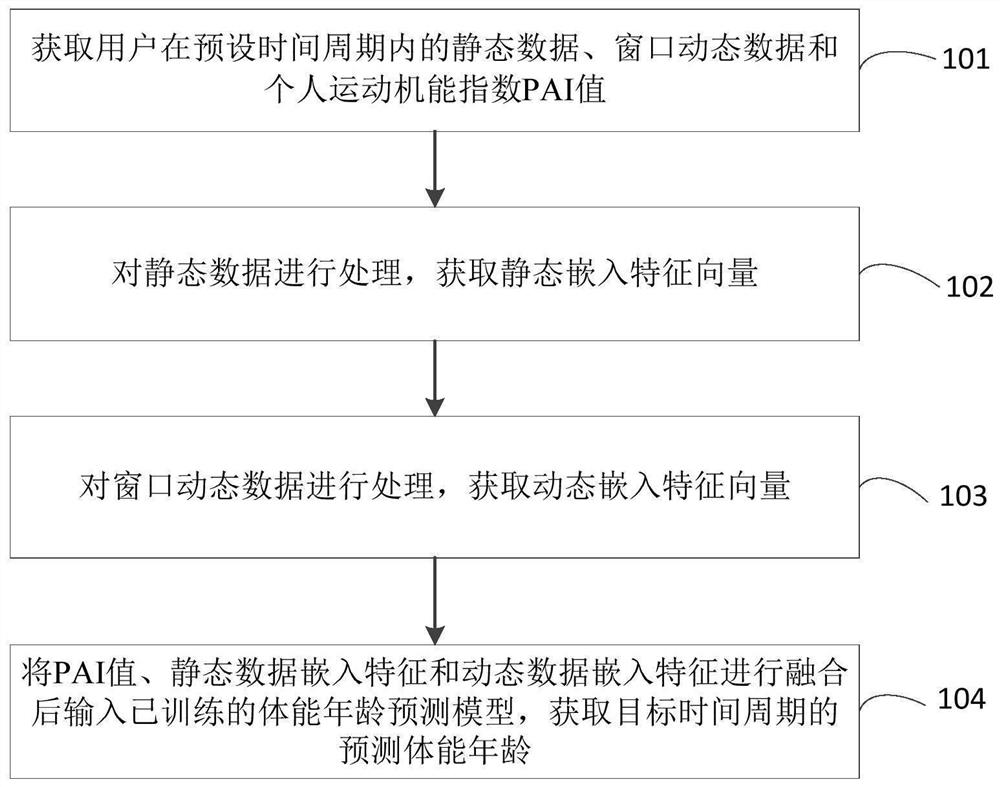 基于PAI的体能年龄预测方法、装置、设备和存储介质