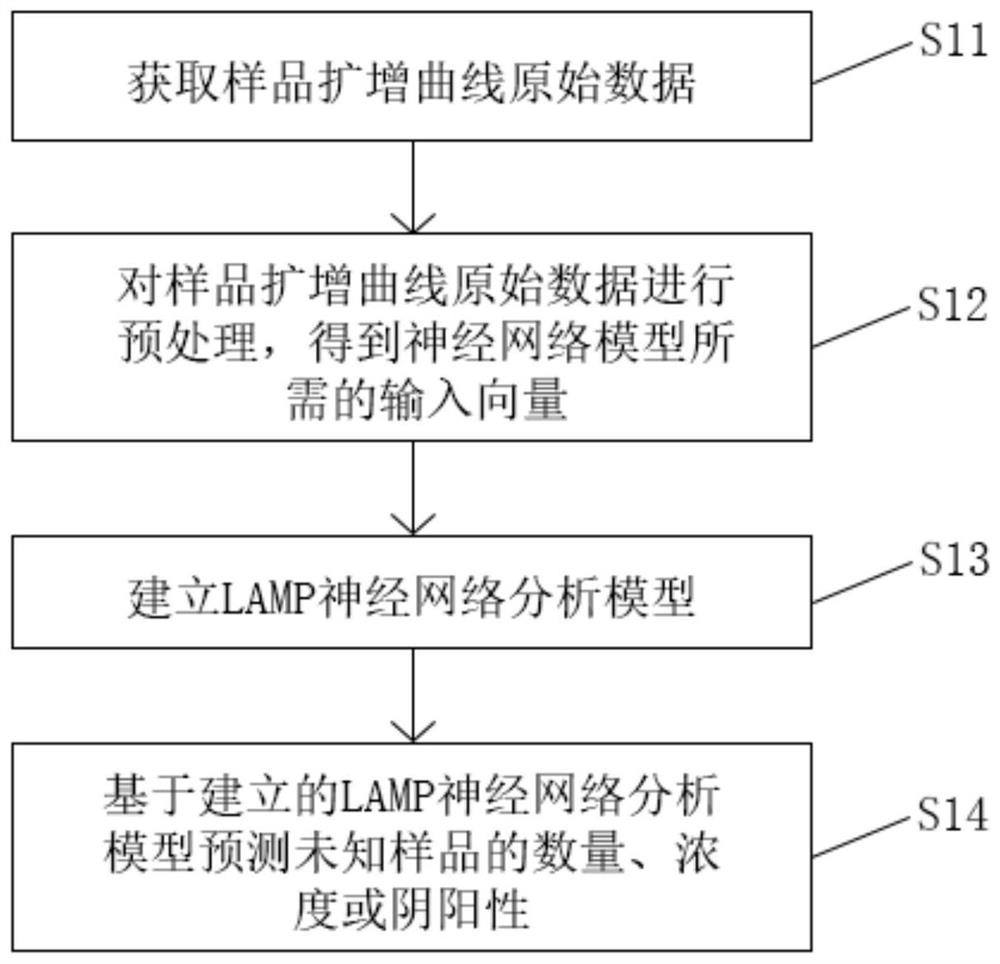 一种基于神经网络的LAMP分析方法及系统