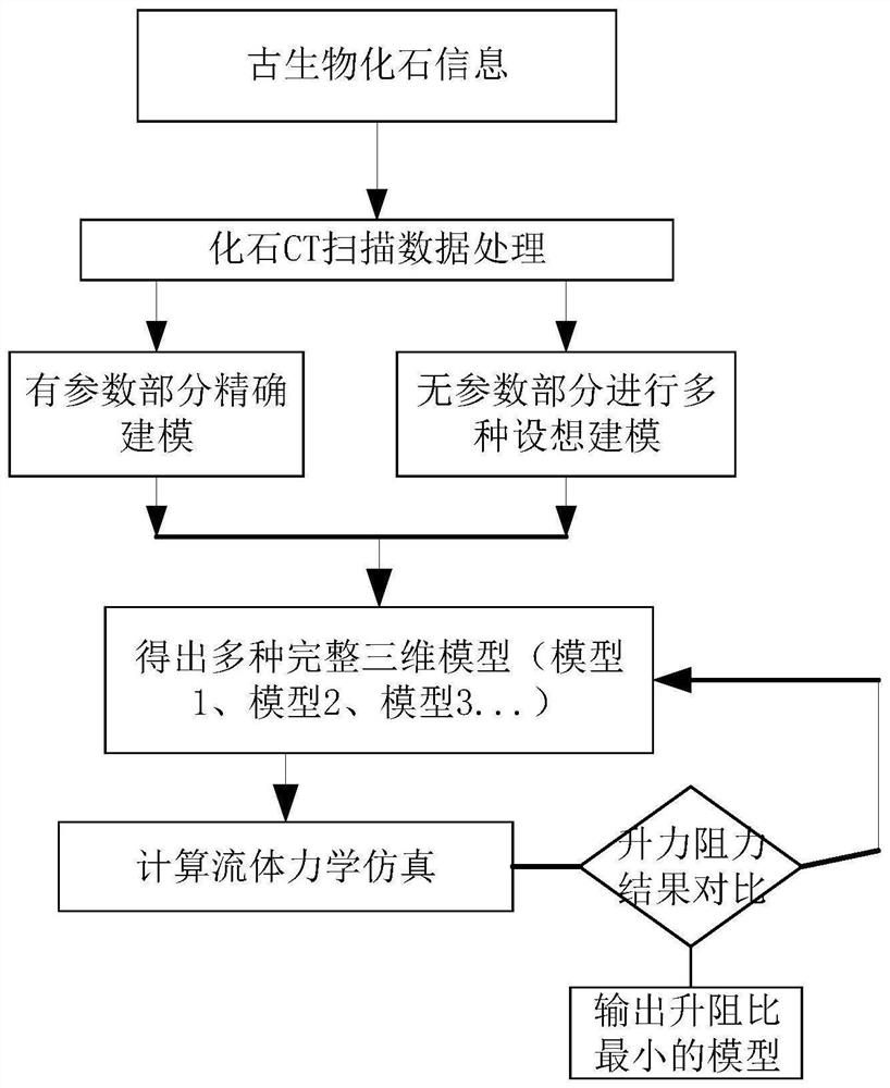 基于不完备信息的多节耳材村虫化石逆向推导复原法