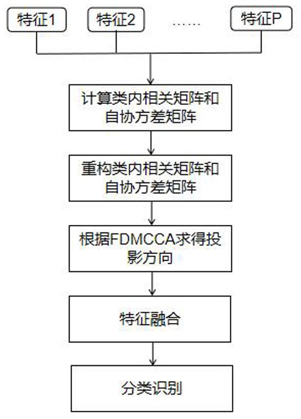 一种基于谱重建的监督多集相关特征融合方法