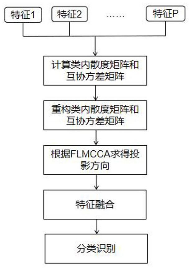 一种基于分数阶谱的判别多重集典型相关分析方法