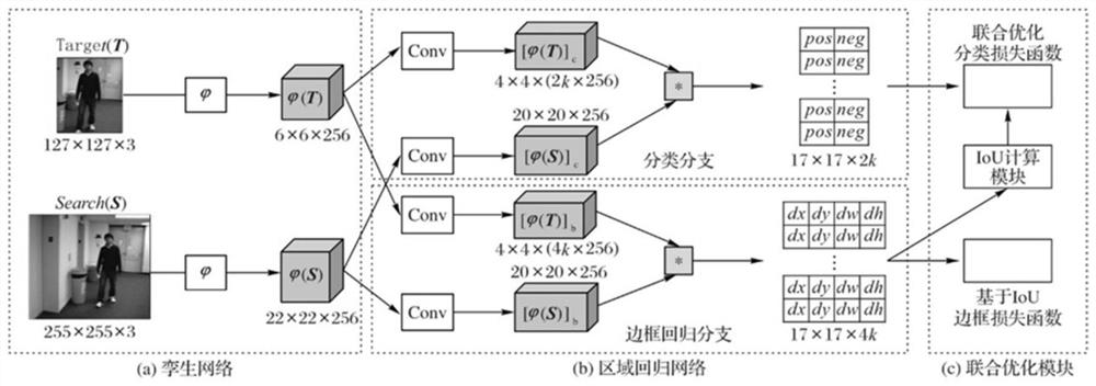 基于孪生网络的强耦合目标跟踪方法、装置、介质及设备