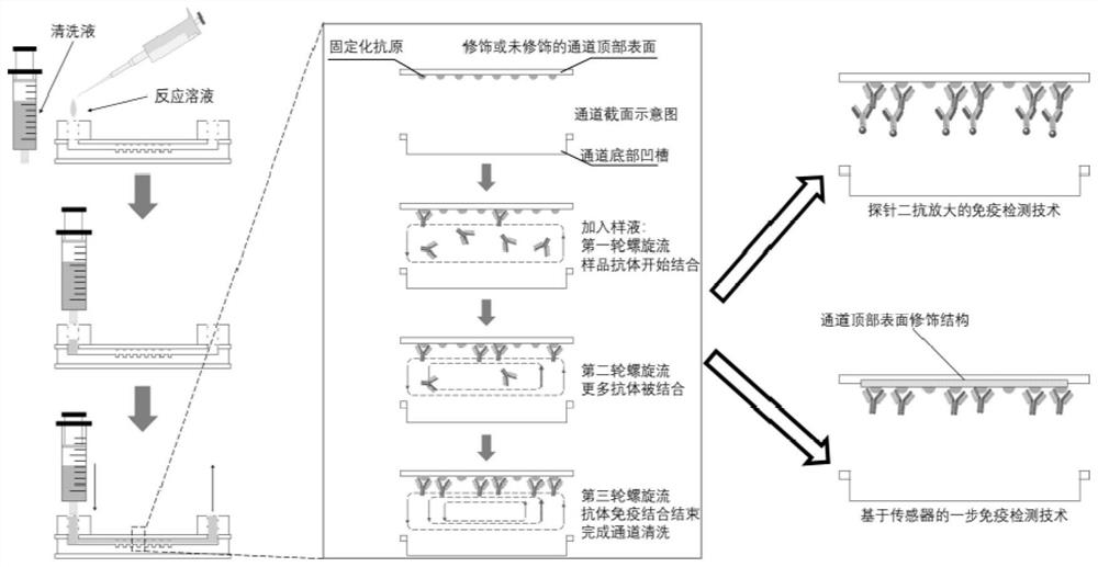 一种通道形貌控制流体混合的超快速免疫检测芯片及其制备方法和应用