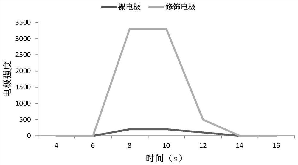 一种Bst DNA聚合酶电致化学发光测定方法