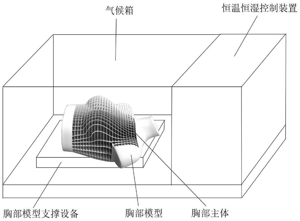 一种文胸透湿性测试装置及其测试方法