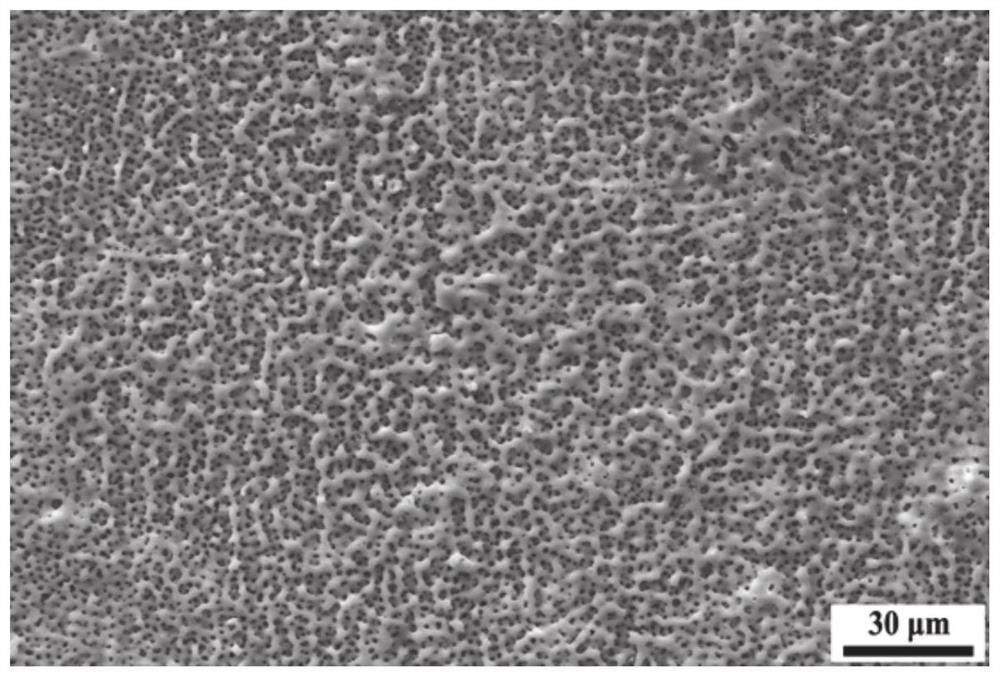 一种镁合金超高孔隙率微弧氧化涂层及其制备方法与应用