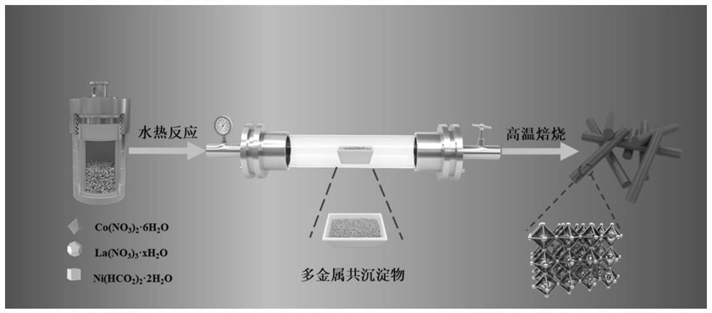 一种ABO3型双钙钛矿LaCoyNi1-yO3纳米棒电催化材料及其制备方法