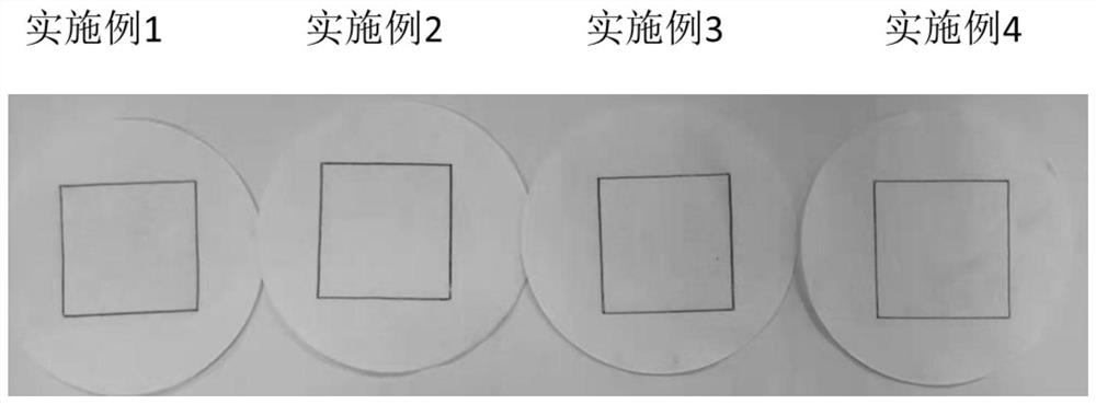 清洗剂及其制备方法和应用