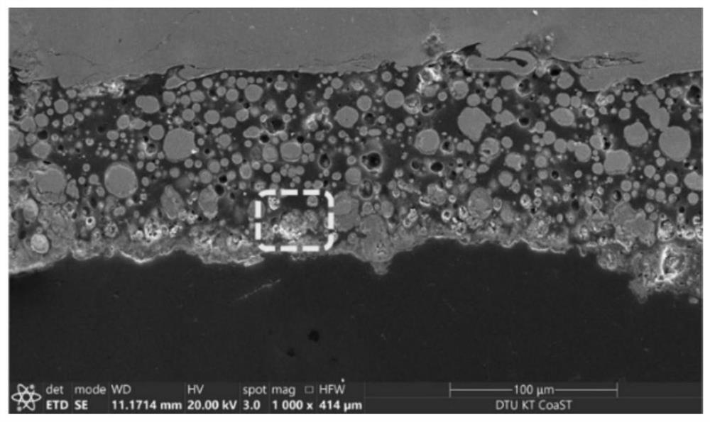 生物炭纳米颗粒改性环氧富锌涂料及其制备方法