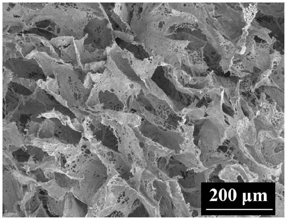一种纳米纤维素/藻酸钠冰冻凝胶及其制备方法与应用