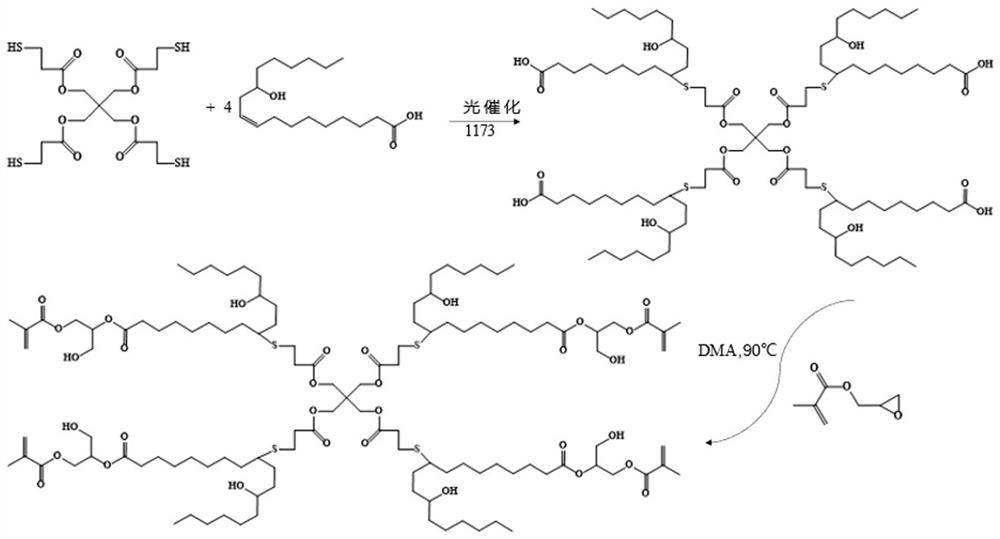 一种多官能度生物基丙烯酸酯预聚物及其制备方法和应用