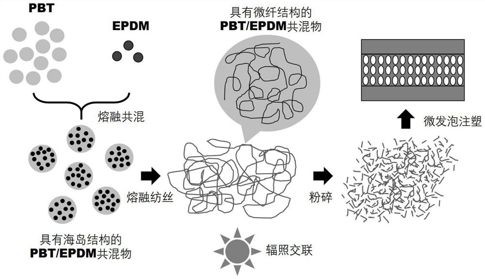 一种微发泡注塑制备轻量化高性能聚对苯二甲酸丁二醇酯制品的方法和工艺