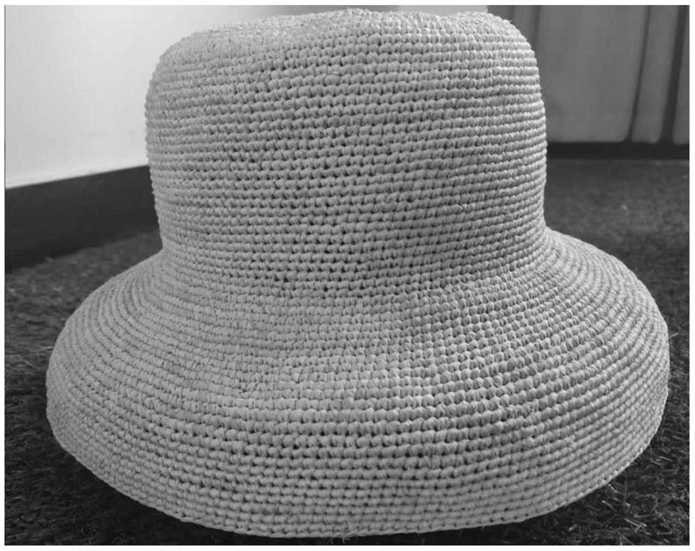 一种拉菲草的应用及其编织方法和编织草帽