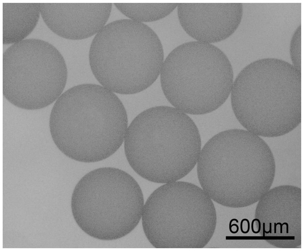 栓塞微球及其制备方法、载药栓塞微球