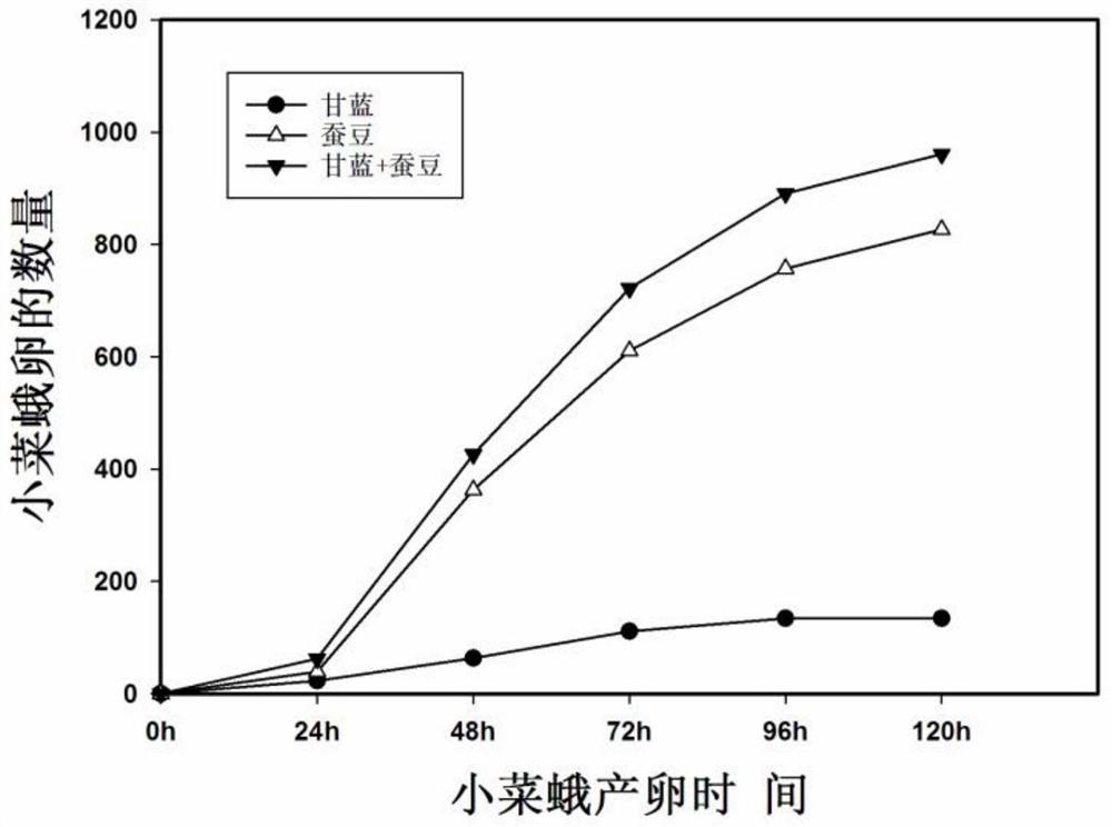 一种适用于田间小菜蛾的生态防控系统