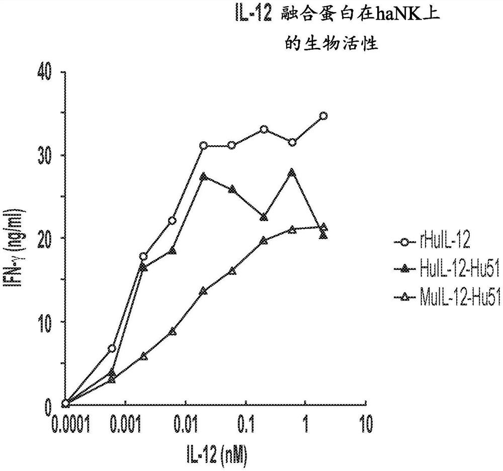 刺激HANK和NK92MI细胞的靶向IL-12治疗和方法
