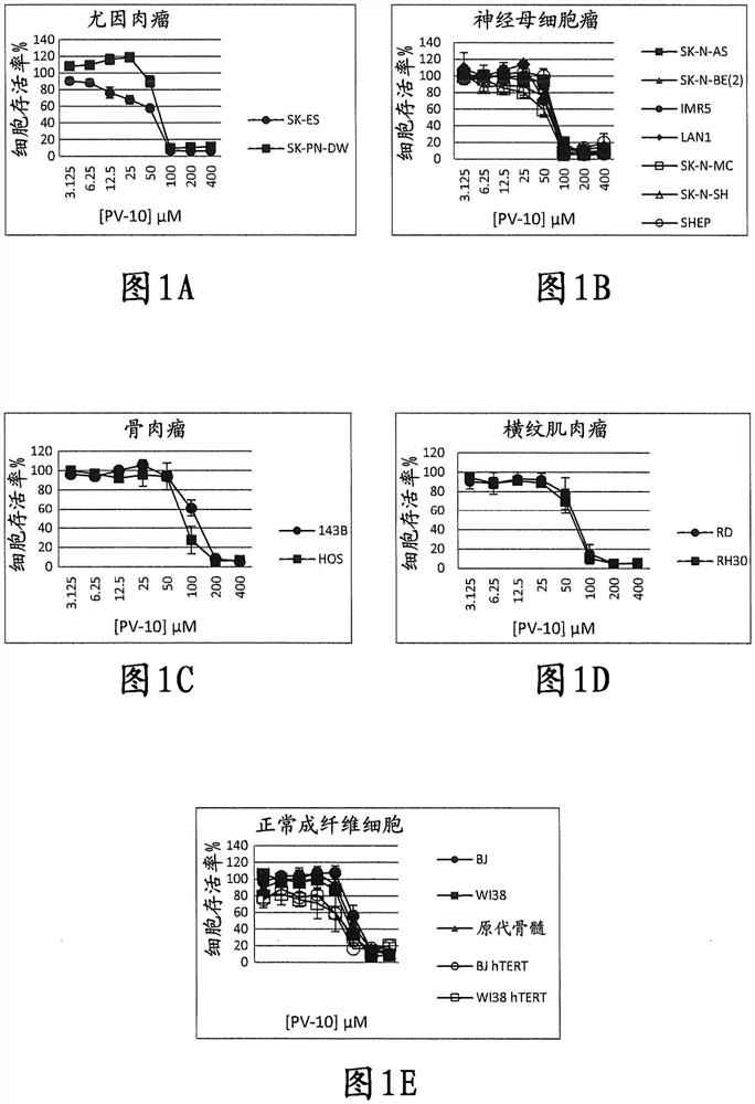 卤代呫吨针对难治性小儿实体瘤的体外和异种移植抗肿瘤活性