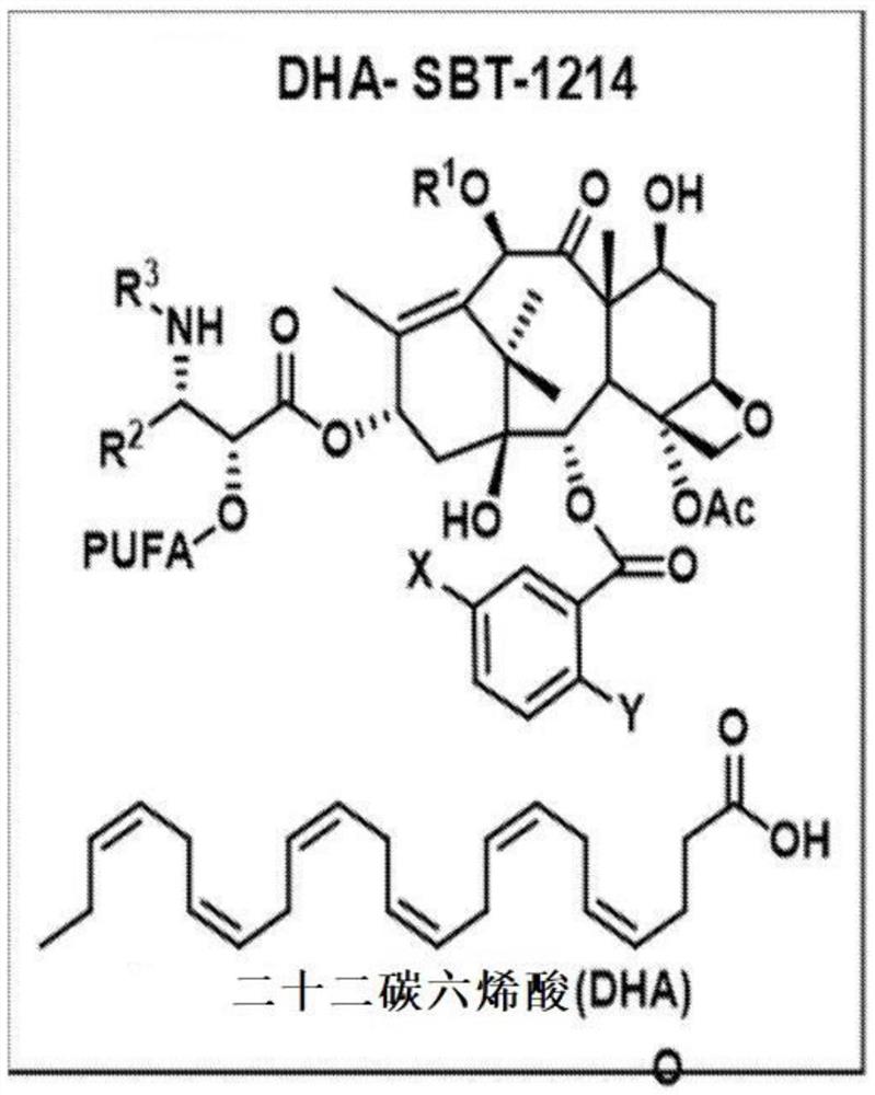 癌症中紫杉类纳米乳剂与免疫疗法的联合