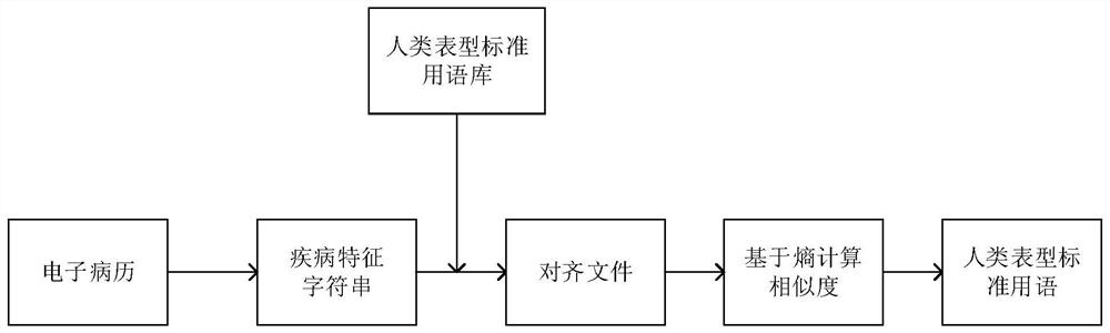 人类表型标准用语提取方法