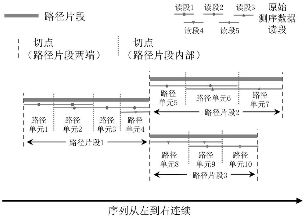 高通量测序数据的变异路径图表示方法及其生成方法