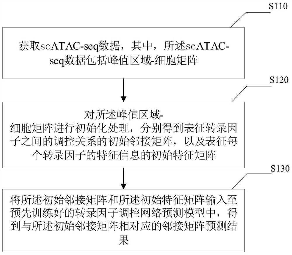 一种单细胞的转录因子调控网络预测方法及装置