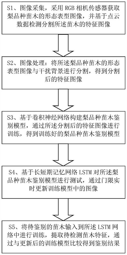 一种基于AI深度学习的梨品种苗木鉴别方法