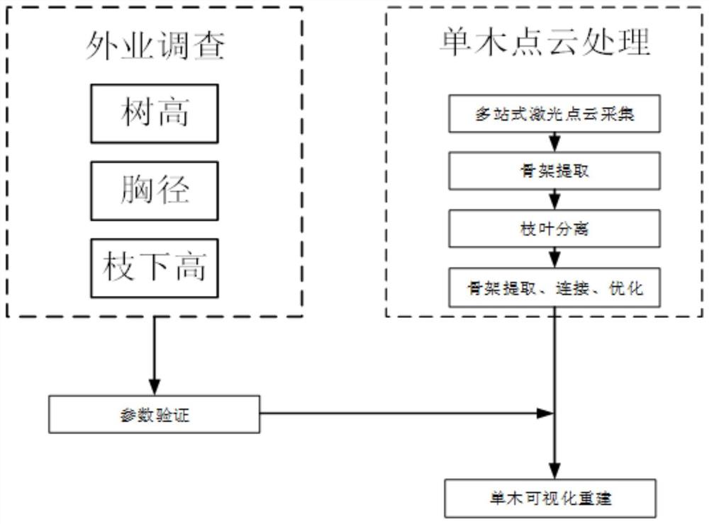 一种基于邻域特征的单木骨架提取及可视化方法