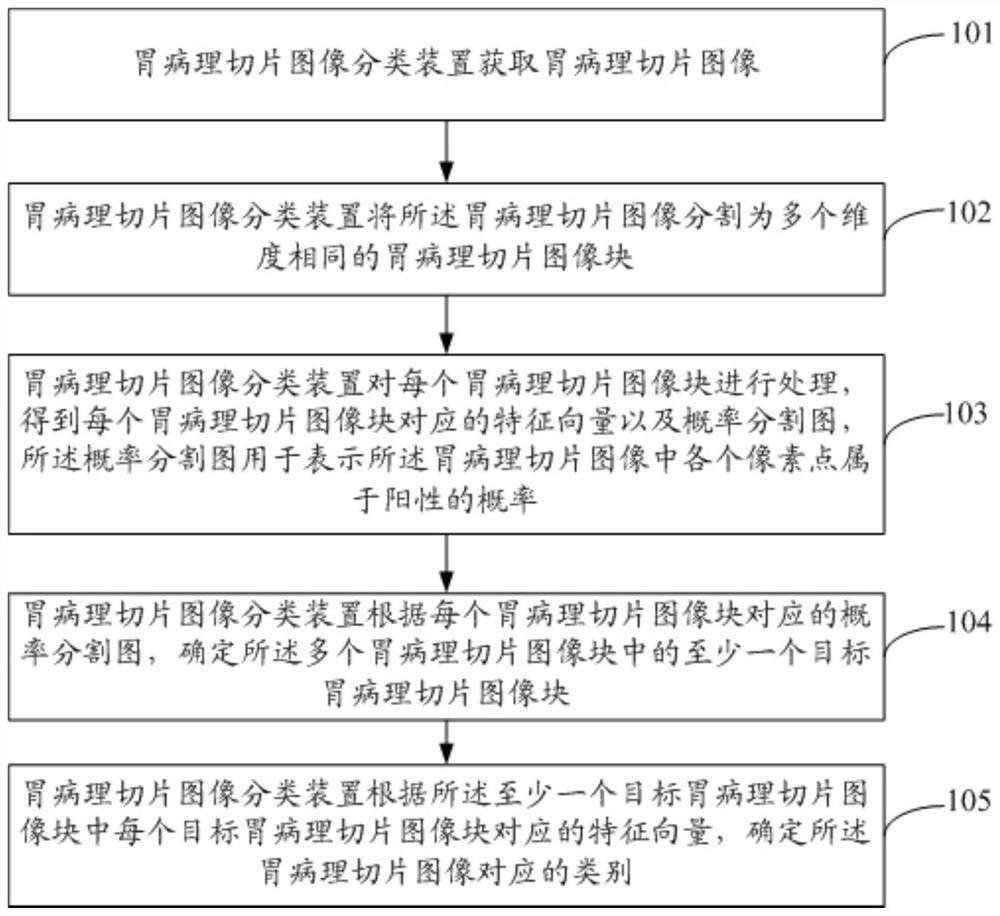 胃病理切片图像分类方法、装置及存储介质