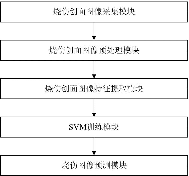 一种基于支持向量机的烧伤创面深度分类系统