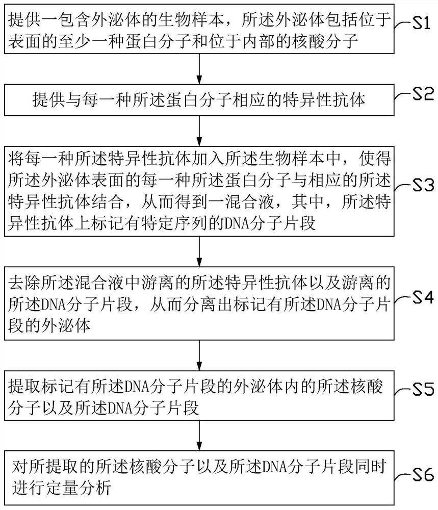 外泌体多组学标志物的定量检测方法