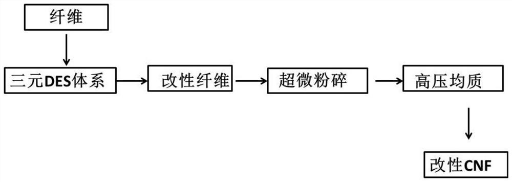 一种三元低共熔溶剂体系制备改性纳米纤维素的方法