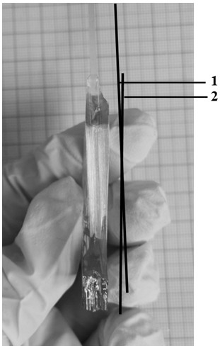 籽晶偏角导模法生长（100）晶面β相氧化镓单晶的方法