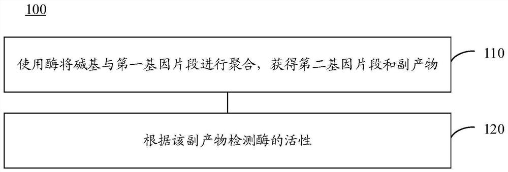 酶活性的检测方法、检测装置