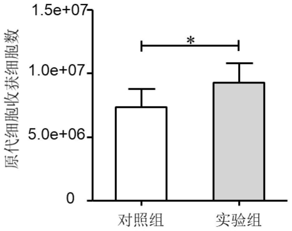 一种人脐带间充质干细胞的分离培养方法及应用