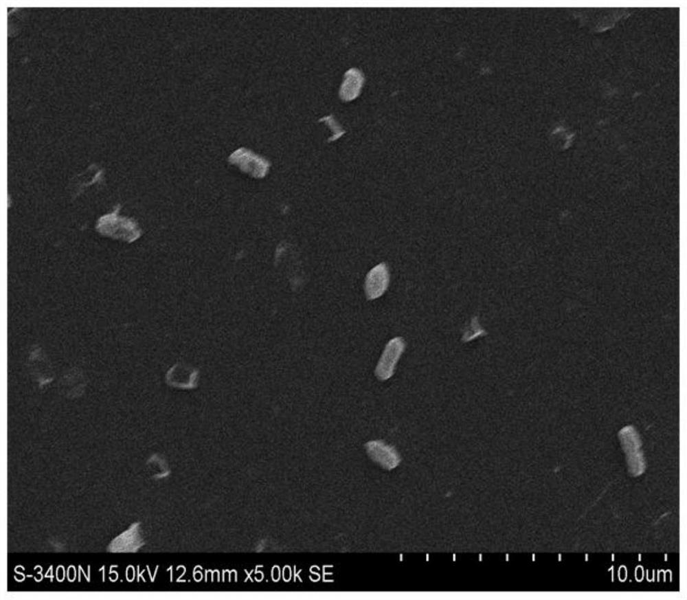 一种Enterobacter chengduensis LB-132菌株及其应用