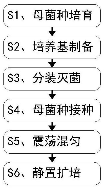 一种农业微生物菌剂制备工艺