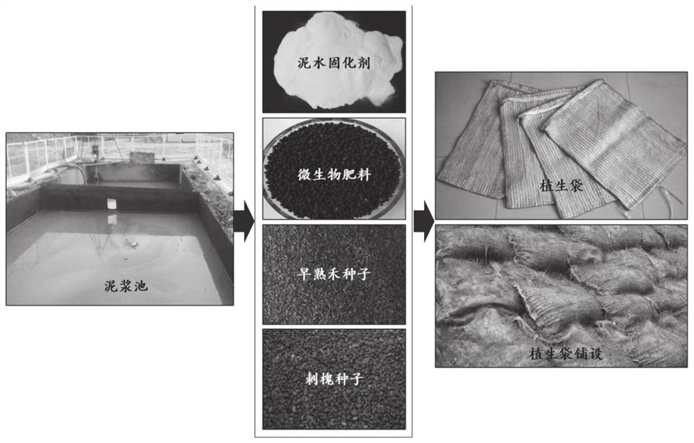 一种将工程泥浆制备植生袋的泥水固化剂、植生袋及制备
方法